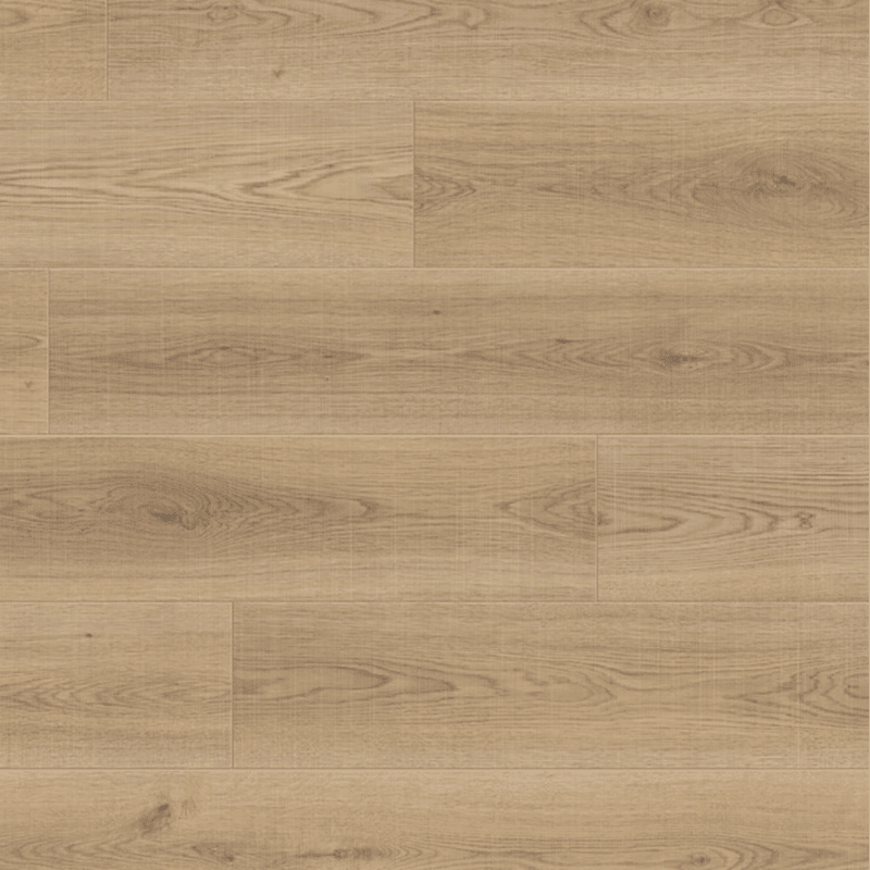 genoa oak