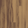 VV017-01005 Belmont Hickory