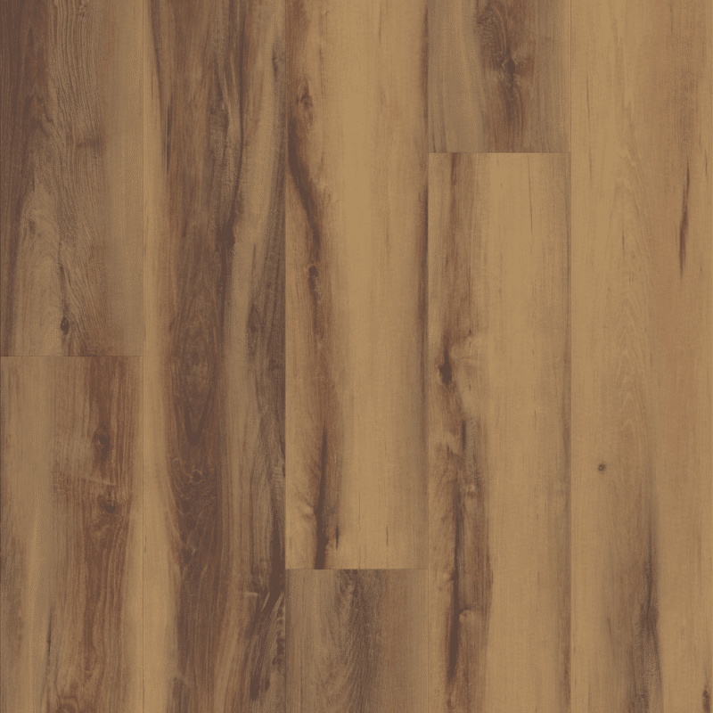 VV017-01005 Belmont Hickory