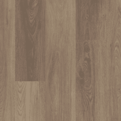 Shaw Distinction Plus - Ash Oak