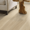 Shaw Titan HD Plus Platinum - Heritage Hickory