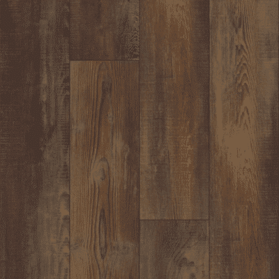 Shaw Pantheon HD Plus - Orso