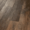 Shaw Pantheon HD Plus - Orso