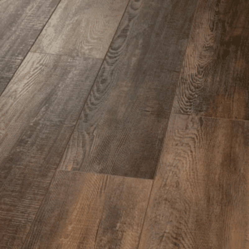 Shaw Pantheon HD Plus - Orso