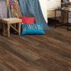 Shaw Pantheon HD Plus - Orso