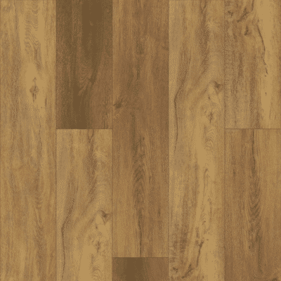 Shaw Pantheon HD Plus - Foresta