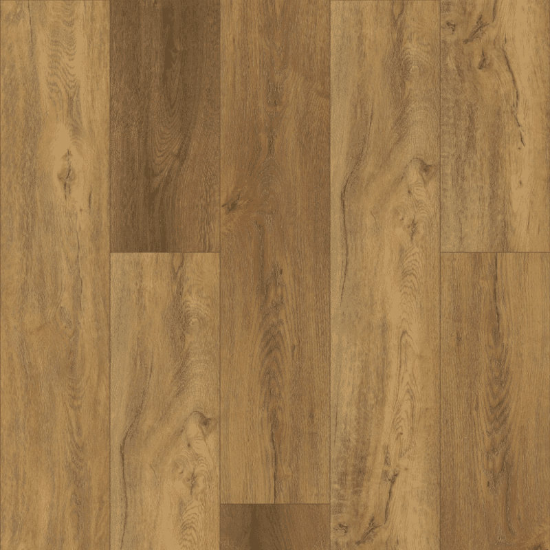 Shaw Pantheon HD Plus - Foresta