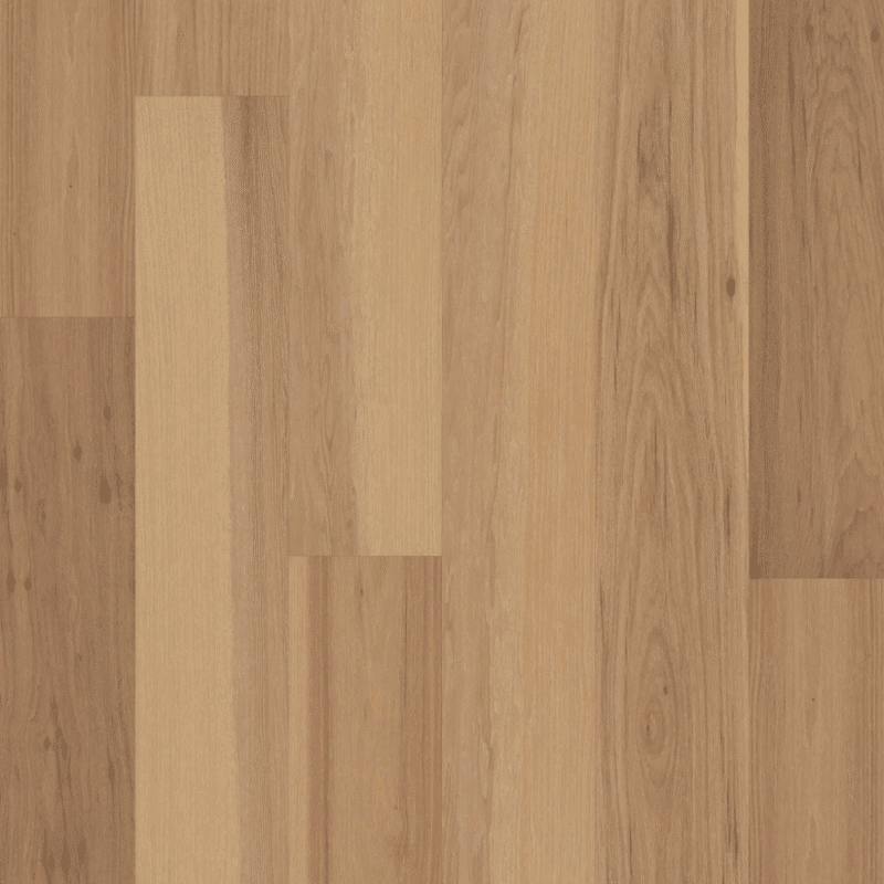Shaw Sanctuary Hickory Mindful