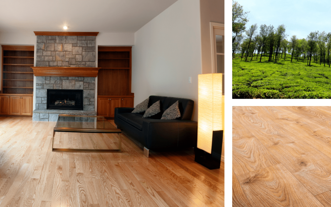 Red Oak Vs. White Oak Flooring: Make an Informed Choice