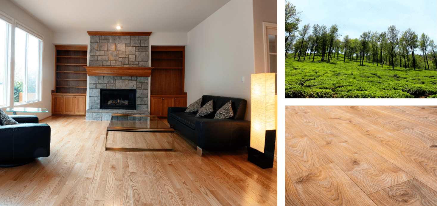 Red Oak Vs White Oak Flooring