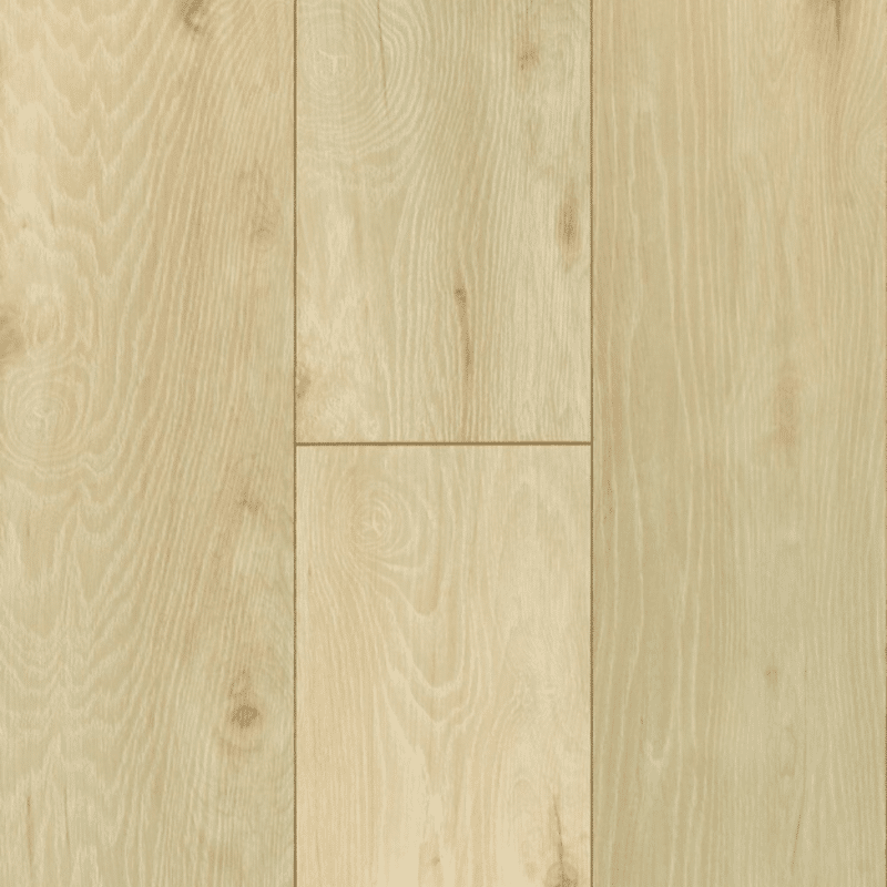 Robbins Established Style Distant Beach Oak Laminate Flooring