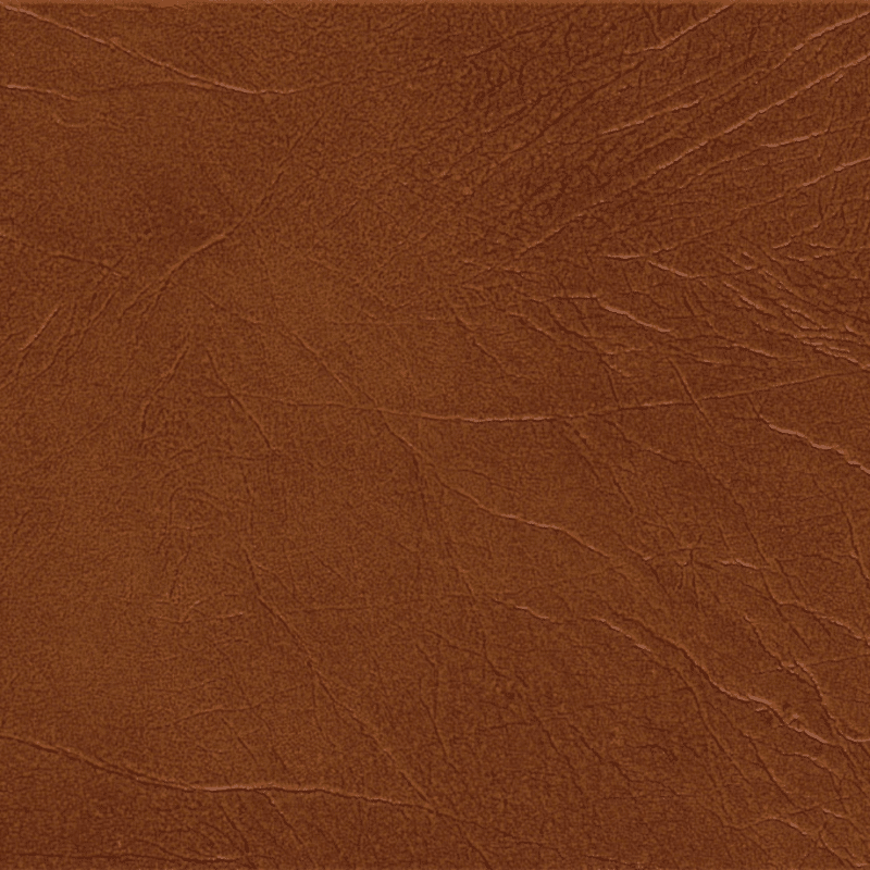 Torlys Leather