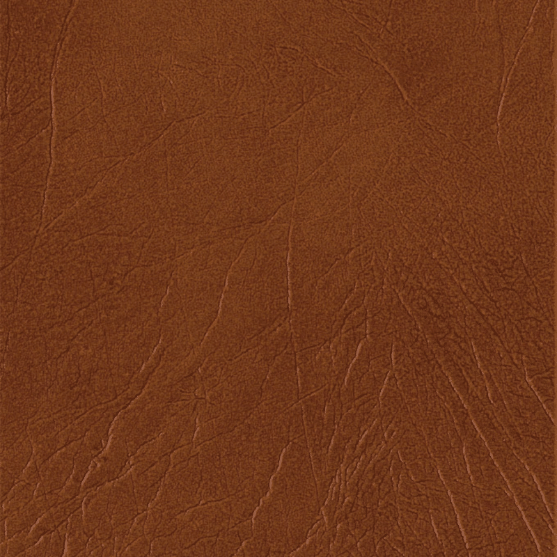 torlys cognac