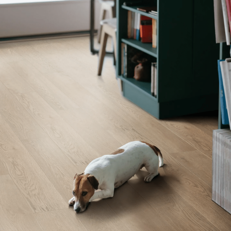 COREtec Scratchless – Morningside Oak VV674-05014 – Luxury Vinyl Plank 7” x 48” in a kitchen with a dog