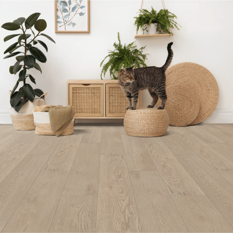 COREtec Scratchless – Morningside Oak VV674-05014 – Luxury Vinyl Plank 7” x 48” in a living room with a cat