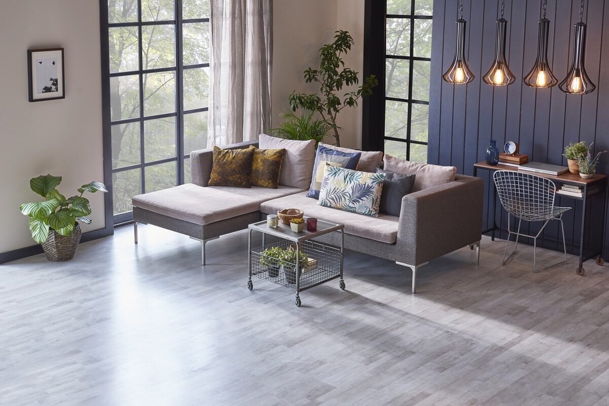 modern living room with gray wood floor and navy blue walls