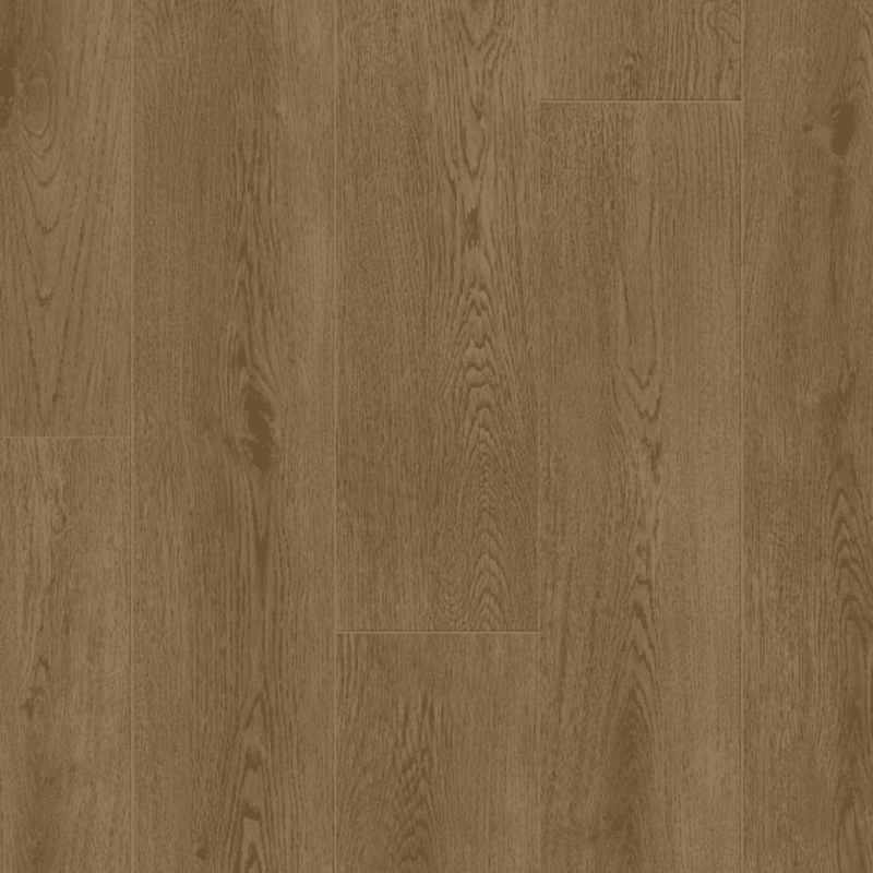 Plainfield Oak
