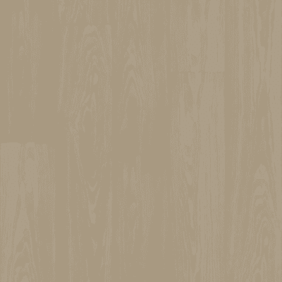 Shaw Distinction Plus - Earthy Taupe