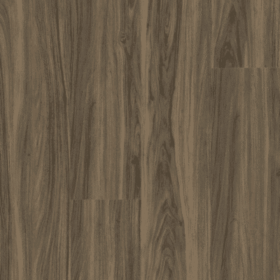 Shaw Endura Plus - Cinnamon Walnut