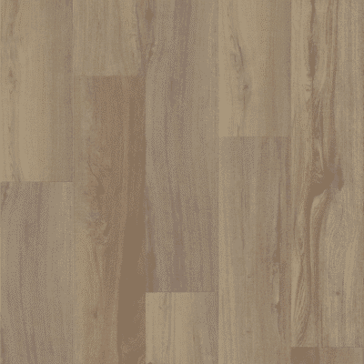 Shaw Endura Plus - Driftwood