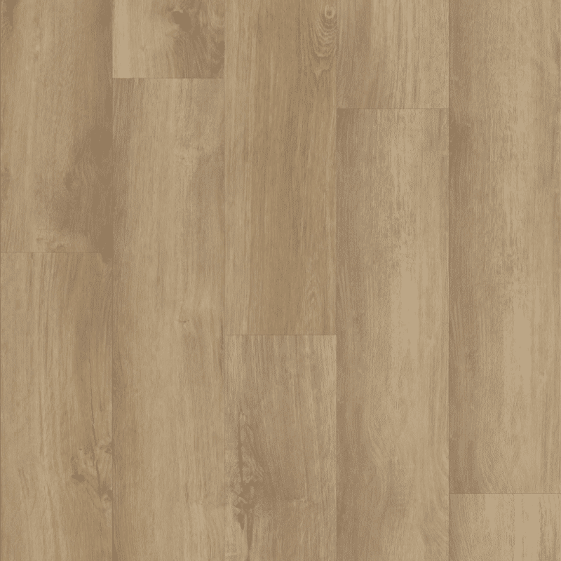 Shaw Endura Plus - Marina