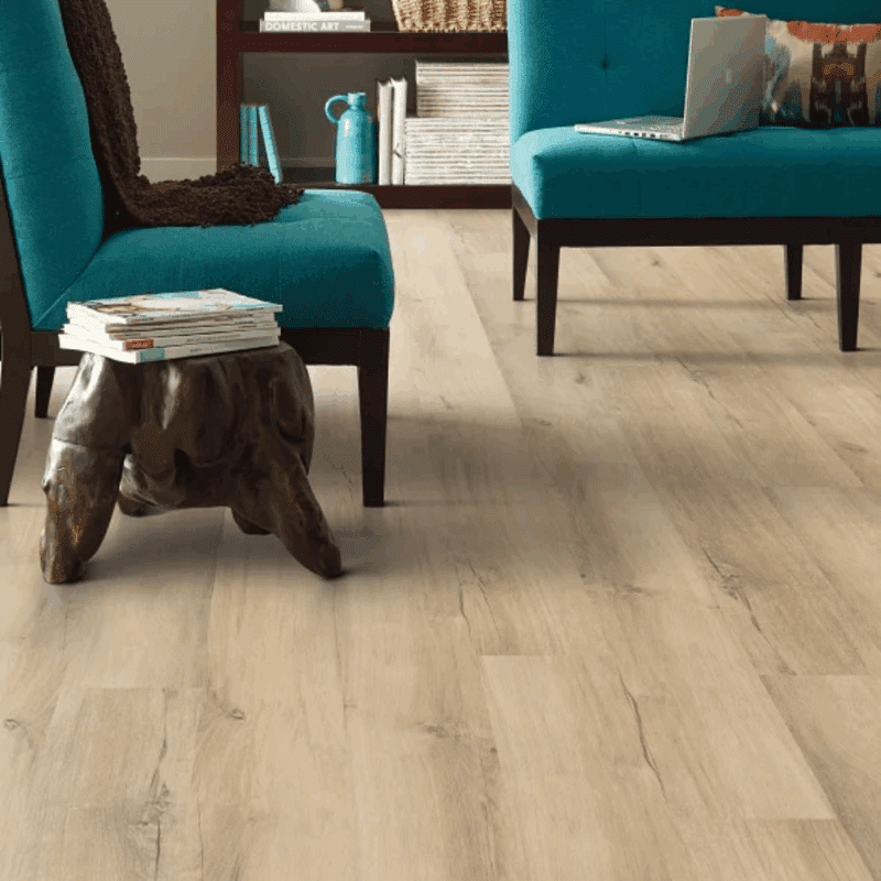 Shaw Endura Plus - Marina