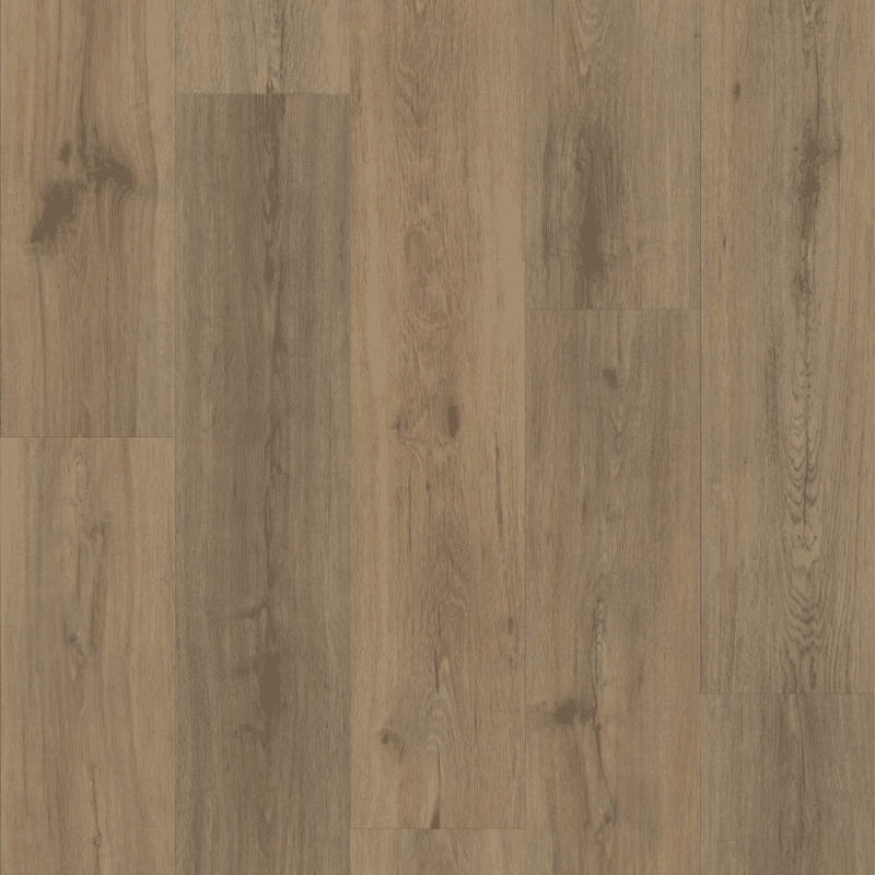 Shaw Endura Plus - Wild Dunes
