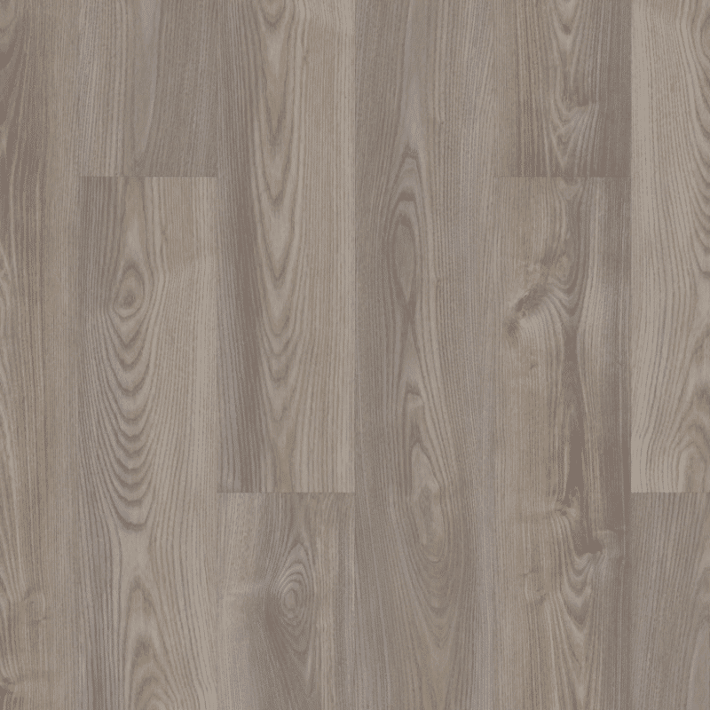 Shaw Anvil Plus - Grey Chestnut