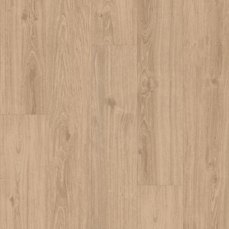 Shaw Ascent Natural Bevel - Wander