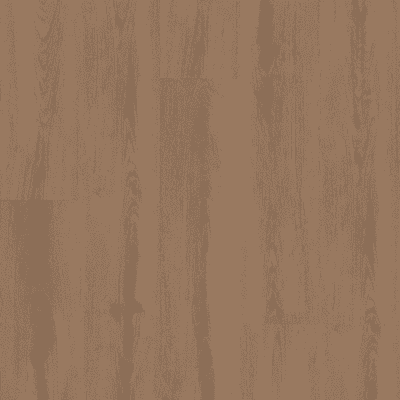 Shaw Ascent Natural Bevel - Dwell