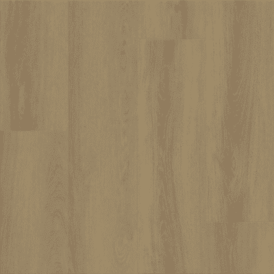 Shaw Dwell - Nutmeg