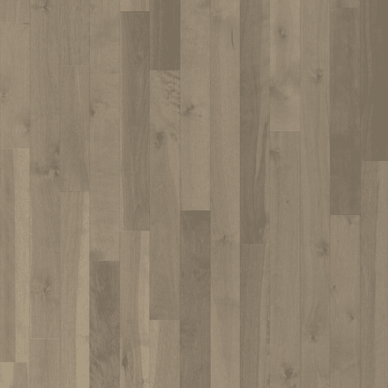 Lauzon Expert Yellow Birch - Talpa