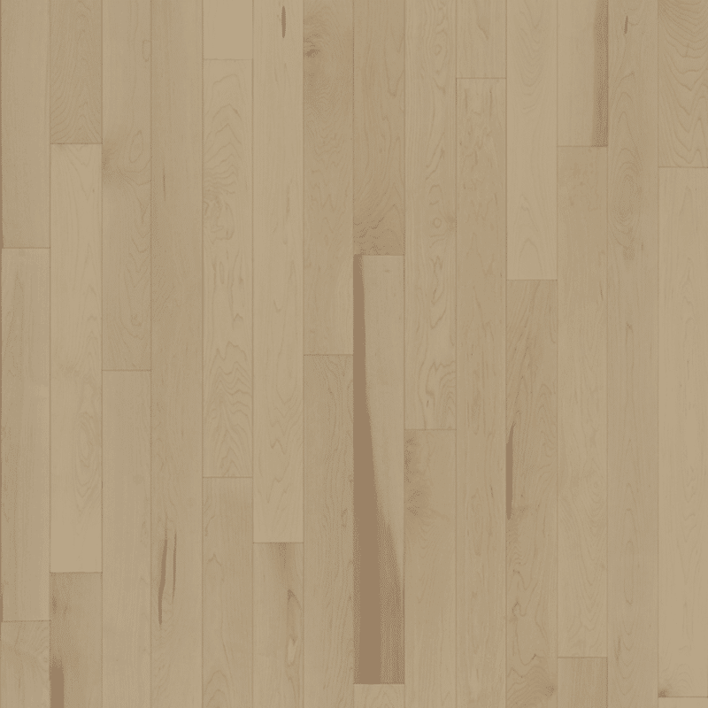 Lauzon Expert Exclusive Hard Maple - Vela