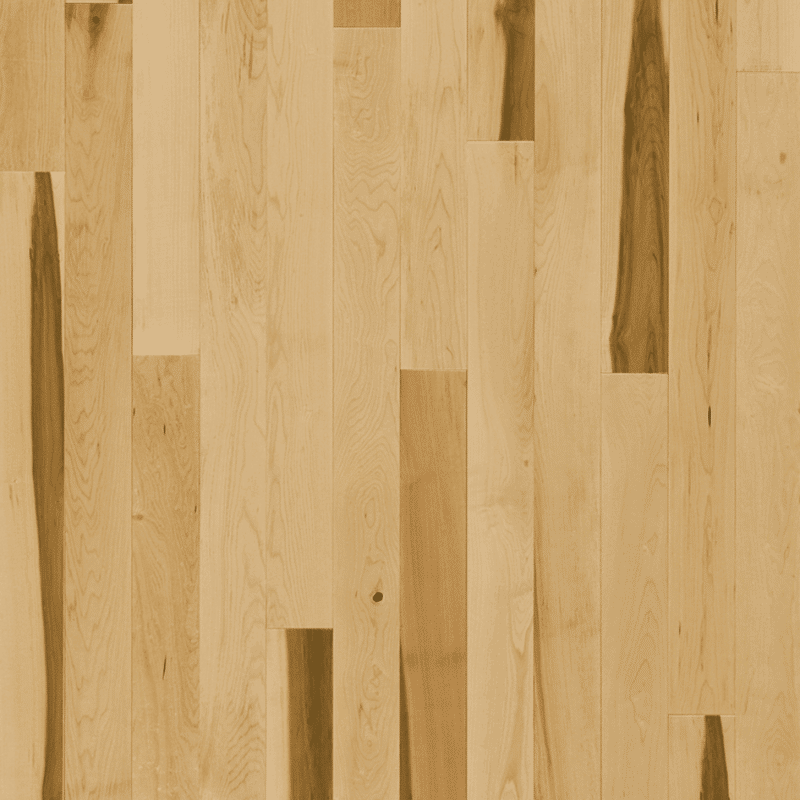 Lauzon Expert Tradition Hard Maple - Natural