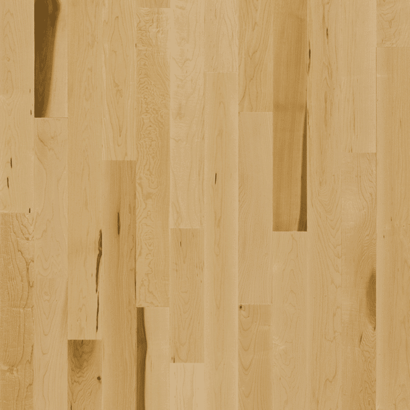 Lauzon Expert Hard Maple - Natural
