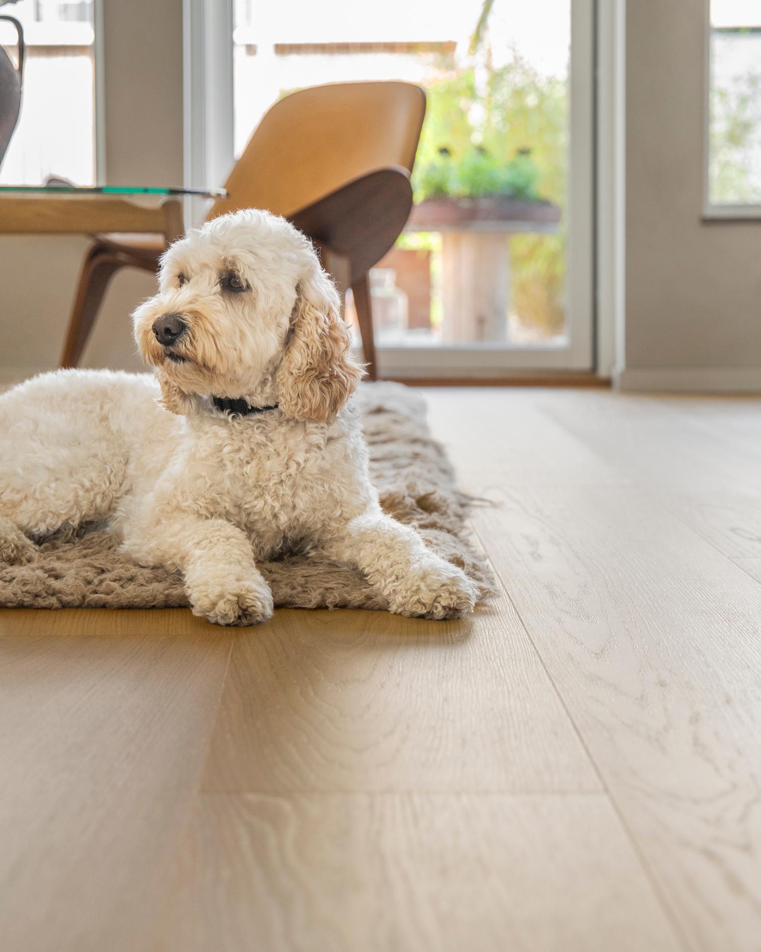 Bjelin Hero Section Image