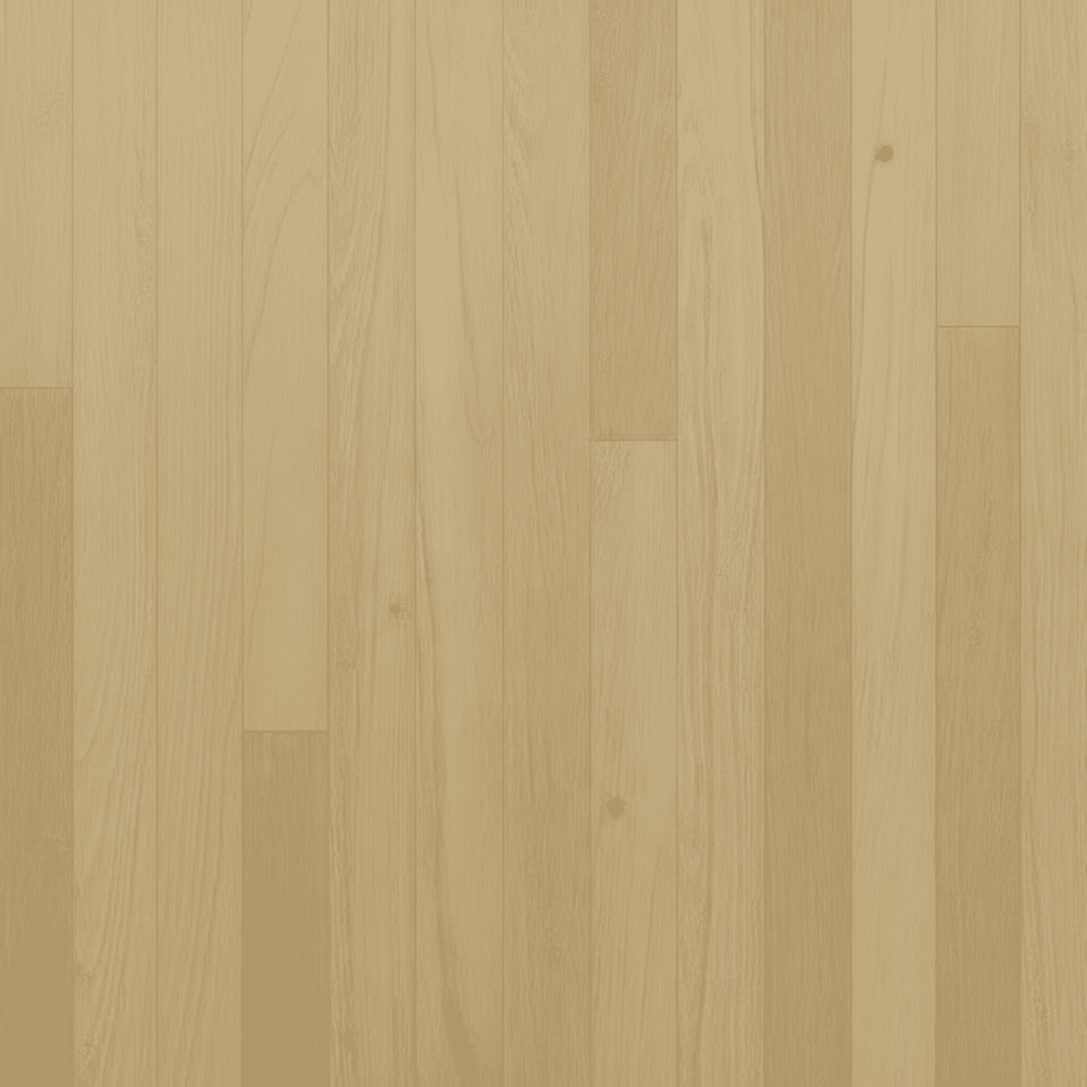 Select Grade 4 Guide