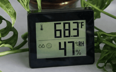 How to Take Care of Your Hardwood Floors