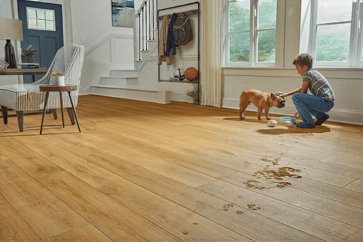 laminate is scratch proof and waterproof
