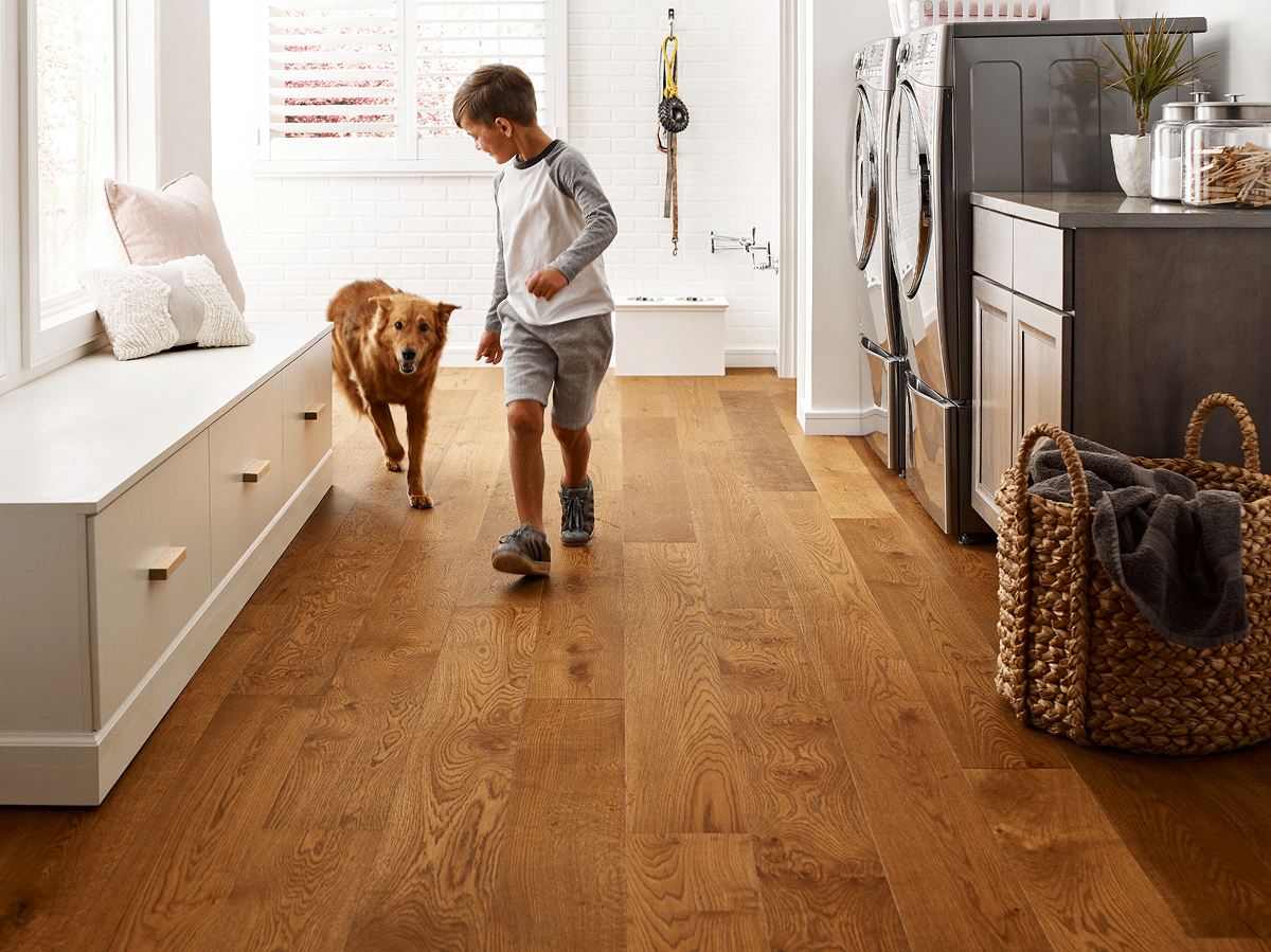 kid and dog engineered hardwood floor
